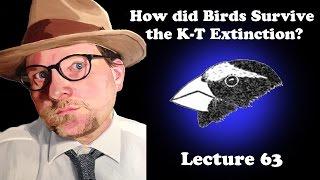 Lecture 63 How did Birds Survive the K-T Extinction?