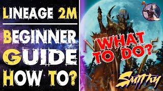 Lineage 2M Beginner Guide - Everything you should know - By Smithy