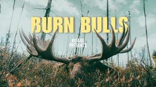 BURN BULLS - 2 GIANT ALASKAN MOOSE