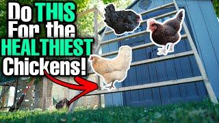 Top 5 Chicken Roost Mistakes To Avoid! (#5 May Surprise You!)