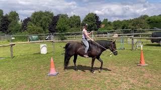 How to train your own horse PART 3 - How to ride a circle. WHAT ARE YOU DOING WRONG?