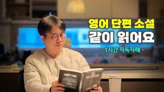 마음으로 읽고 가슴으로 듣는 영어소설. 에스트로겐의 역습 주의 | Little Match Girl 1시간 직독직해