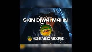 Skin Diwai Mahn - Home Vibez (Official Audio)