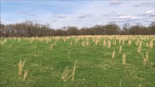 20 +/- acres Land for Sale in Camden Co Missouri