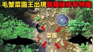 《我的魚叉被扯斷》抓大紫毛蟹大鱸鰻卻"意外"捕獲2種全新稀有物種 直接把我魚叉扯斷!?天涯海角吃到你#潛水 #料理