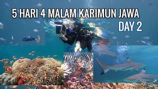 5 HARI 4 MALAM KARIMUN JAWA #2 ,PARADISE OF JAVA | Budget Hemat Tanpa Open Trip