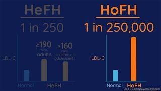 Chapter 3: Types of Familial Hypercholesterolemia (FH)