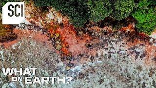 What Is Turning This Island’s Water Red? | What On Earth?