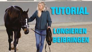 Bodenarbeit Tutorial Pferd Longieren beibringen | Übungen mit Kappzaum