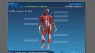 Onfit Course Demo