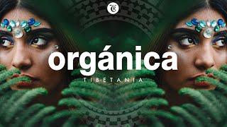 ORGANICA MIX | Fineste organiske og etno Deep House-musikk | Dj Mix av Marga Sol