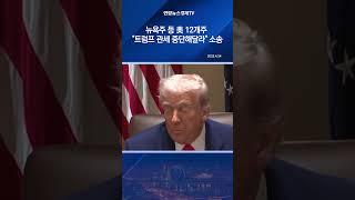 뉴욕주 등 美 12개주 "트럼프 관세 중단해달라" 소송