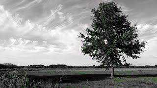 Das große Torfmoor bei Lübbecke