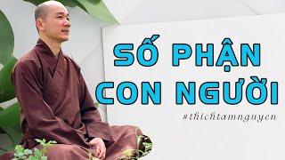 Số Phận Cuộc Đời Bạn Là Do Chính Bạn Tạo Ra - Thầy Thích Tâm Nguyên