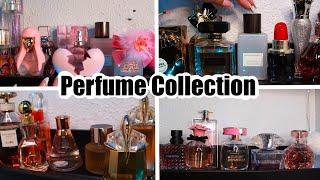 My Perfume Collection  2023 