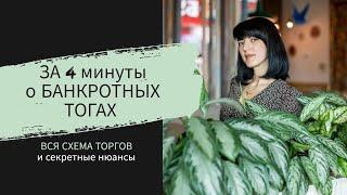 Схема торгов по банкротству за 4 минуты