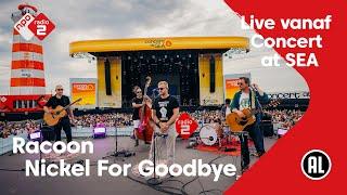 Racoon - Nickel For Goodbye | Sessie @ | Concert at SEA. 2024 NPO Radio 2