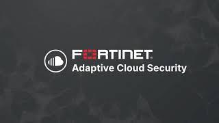 Introducing the BeLux Fortinet Cloud Team