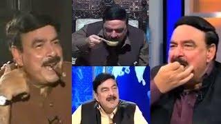 Best of Sheikh Rasheed :D | PakiXah