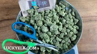 Royal Skywalker THCa Flower Review