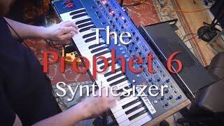 Analog Synthesizer Demo: The Prophet 6