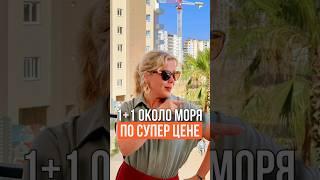ГОТОВЫЕ КВАРТИРЫ ПО СУПЕР ЦЕНЕ #турция2024 #мерсиннедвижимость #realestate  #недвижимостьвтурции