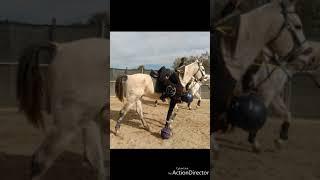 Clase de Horseball en Hípica Caballos la Albada, con Gema Colino.