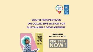 Youth perspectives on collective action for sustainable development - ECOSOC Youth Forum 2022