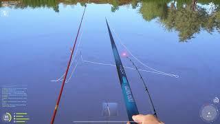 Dziwne rybki | Russian Fishing 4 #184 #mjplay