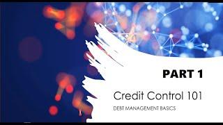 Credit Control 101 - Credit Control Basics - Part 1