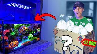 SPENDING $1,000 on CORAL for MY 20G SALTWATER AQUARIUM!!!