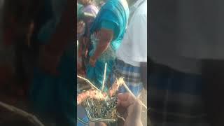 singi raal  1 pees 100 rs