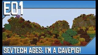 Sevtech Ages-I'm A Cavepig!-Ep1-Modded Minecraft-Flint Hatchet, Craft Stump, and Grass Fiber Mesh