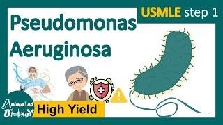 Pseudomonas aeruginosa | Pathogenesis | identification and treatment