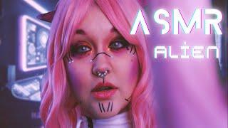 ASMR  Curious Alien Measures You  Sci Fi Roleplay (Personal Attention, Unintelligible Whispers)