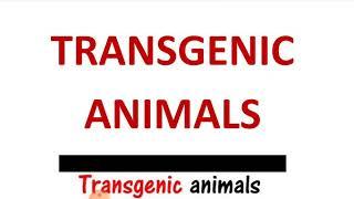 Transgenic Animals