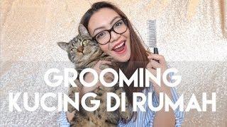 GROOMING KUCING DIRUMAH | MY CATS DIARY #3