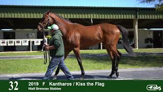 HIP 32 B. F. Kiss the Flag '19 OBS March 2021