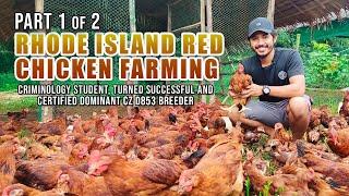 RHODE ISLAND RED FARMING: CRIMINOLOGY STUDENT, TURNED SUCCESSFUL, CERTIFIED DOMINANT CZ D853 BREEDER