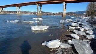 I found a new park. Fraser Valley #fraserriver #mission #glacier  #yaletowngirl #westerncanada #bc