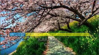 Мөлдір Əуелбекова - Арман алдамайды (караоке)