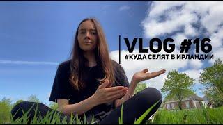 Vlog 16 : Куда селят в Ирландии? Где есть места? #ирландия #проживание #оформление #украинцам