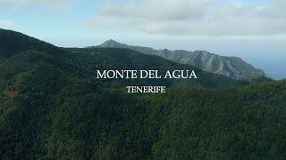 Monte del Agua Walk | Teno Mountains | Tenerife | 4K