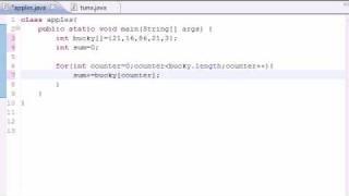 Java Programming Tutorial - 29 - Summing Elements of Arrays