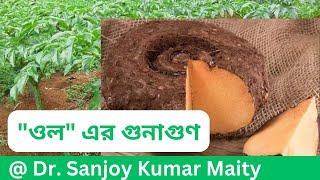 "ওল "এর ১৫টি বিশেষ উপকারিতা // 15 HEALTH BENEFITS OF ELEPHANT FOOT YAM IN BENGALI  @sanjoyfitcoach_