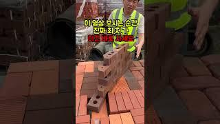 이 가격이면 이 엣지벽돌은 진자 인건비도 안나오는데?