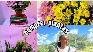 VLOG: Um dia na minha vida | comprei plantas para a minha casa 