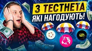 ТОП 3 ТЕСТНЕТА 2024 РОКУ! | Theoriq, Humanity, Unichain | Як отримати безкоштовний Airdrop?