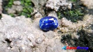 Vivid Blue "Royal Blue" Certified Ceylon Blue Sapphire for your fine Jewel