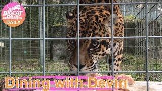 Dining with Devin~ Feeding Manny Jaguar 11132018